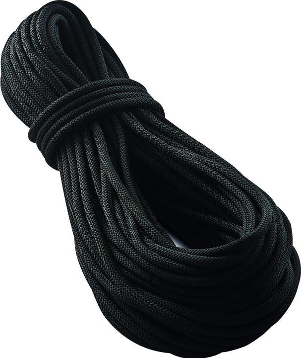 Tendon Smart 10.0 climbing rope black (50 m)