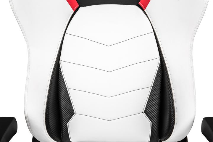 Actual product image Akracing Master Premium