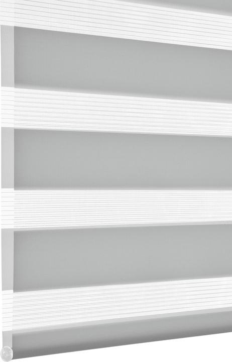 Produktbild Deco Company Doppelrollo (50 x 150 cm)