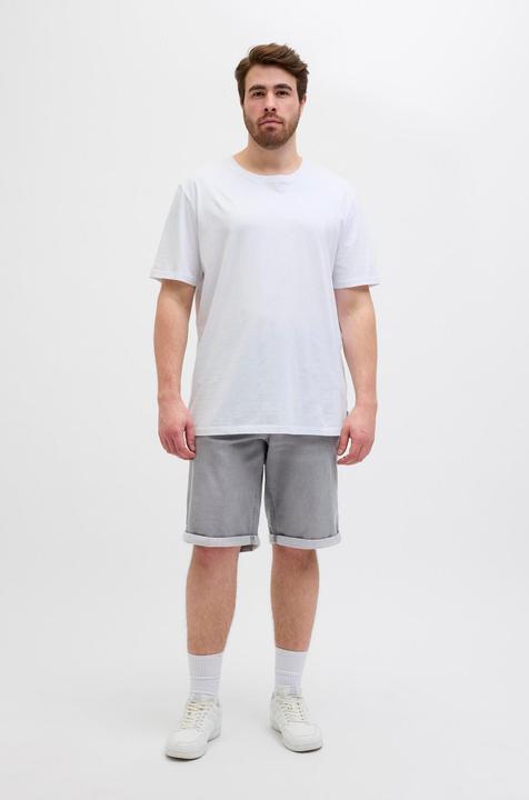 Produktbild Jack & Jones JJIRICK JJICON I.K. SHORTS GE 063 SN PLS (48)