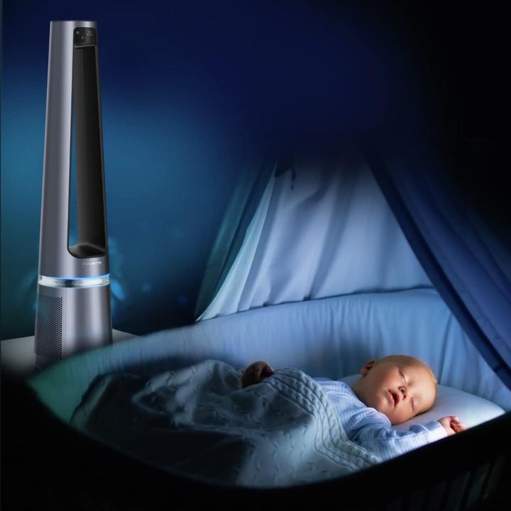 Actual product image Rowenta XD6520F0 Air Purifier Accessories Air Purifier Filter (1 x)