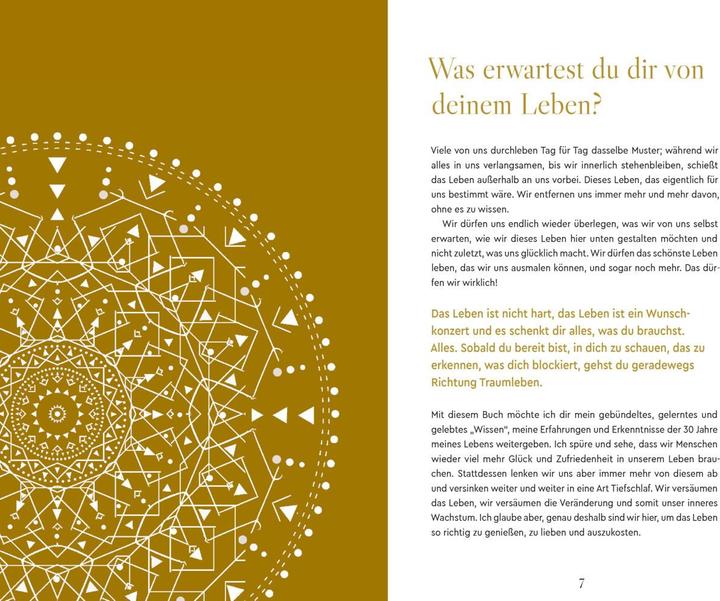 Produktbild Du stehst dir selbst im Weg! (Deutsch, Silvia Gasser, 2024)