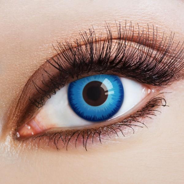 Aricona Steelblue Eye (Blau)