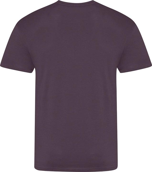 Image du produit Awdis The 100 Tshirt (M)