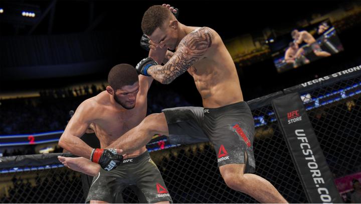 Image du produit EA Games UFC 4 (PS4, DE, IT, FR)
