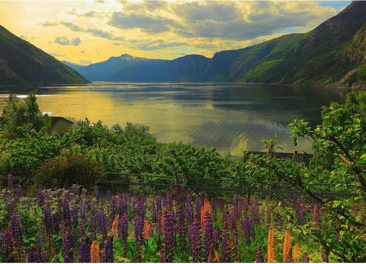 Produktbild Ravensburger Fjord in Norwegen (1000 Teile)