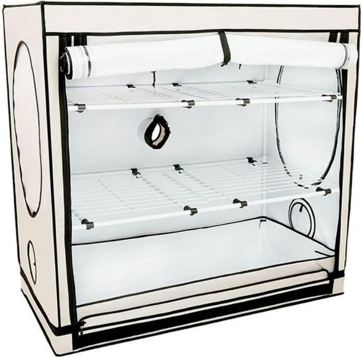 Homebox Vista Medium