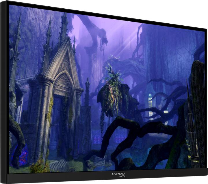 Immagine prodotto HP HyperX Armada (2560 x 1440 pixel, 27")
