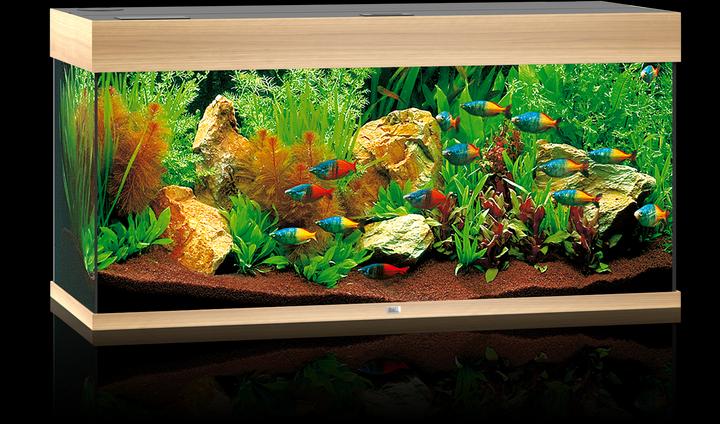Immagine prodotto Juwel Aquarium Rio (180 l)