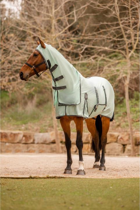 Actual product image Horze Paso Fino (135 cm)