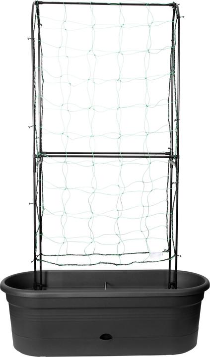 Elho Green Basics (78 cm)
