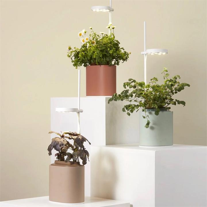 Produktbild Prêt à Pousser Kräutertopf Nano, Celadon Green (13.50 cm)