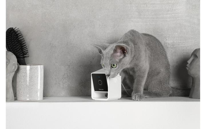 Image du produit Petcube Caméra pour animaux domestiques (Jouets avec herbe à chat)