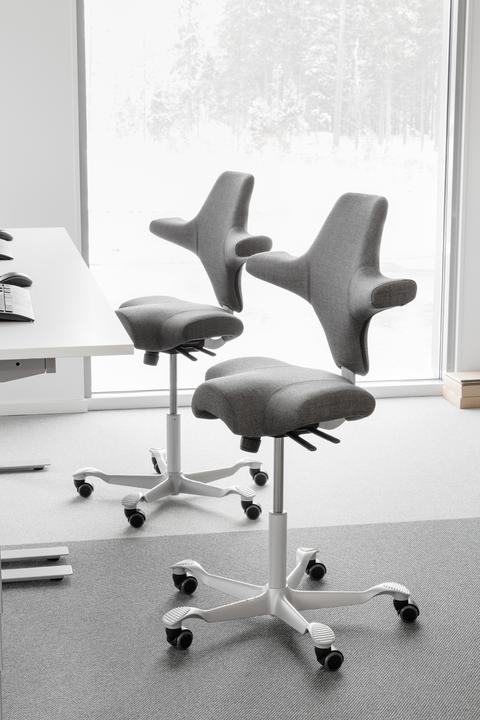Actual product image HAG Capisco 8106