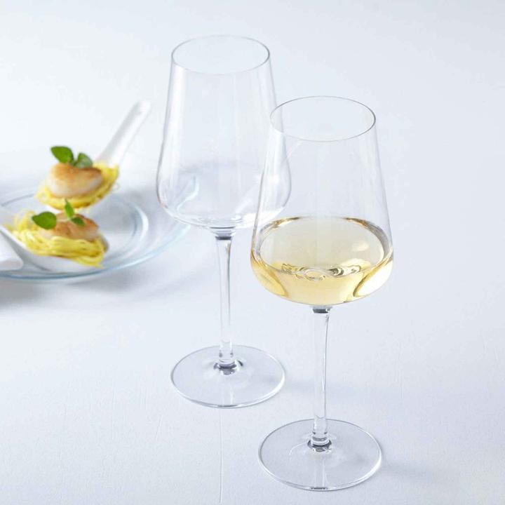 Actual product image Leonardo Wine and champagne glasses Puccini (12 Glasses, White wine glasses)