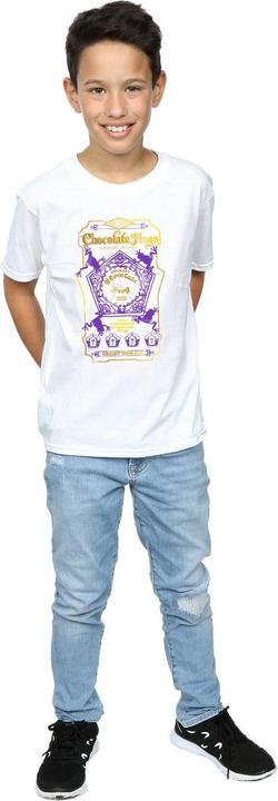 Actual product image Boys Chocolate Frogs Coloured Label T-Shirt (140, 146)