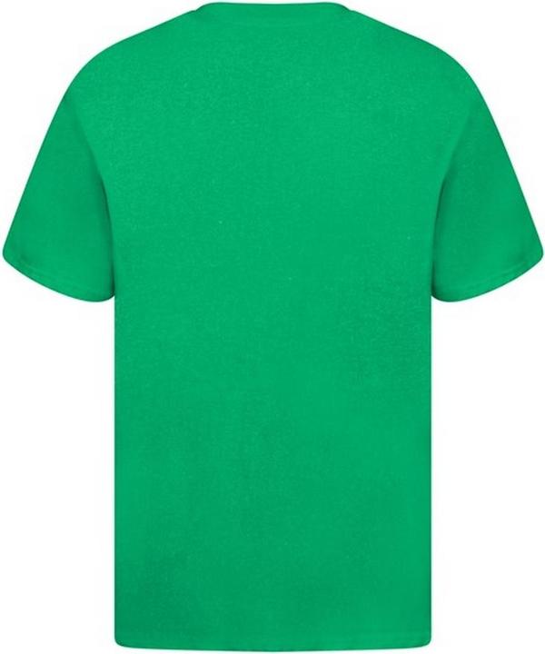 Actual product image Casual Classics Casual Classic Mens Ringspun Tee (4XL)
