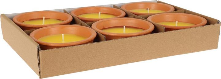 Immagine prodotto Fs-Star Citronella Kerze im Topf 11x5cm (1 pz.)