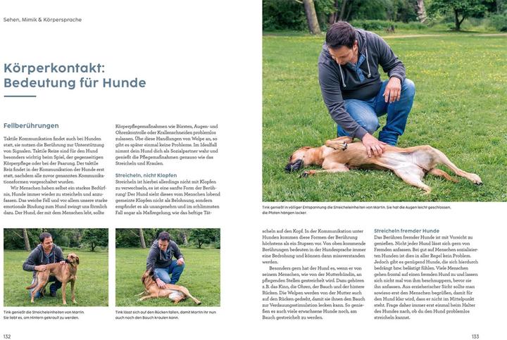 Produktbild Kosmos Sprachkurs Hund mit Martin Rütter (Deutsch, Martin Rütter, Andrea Buisman, 2022)