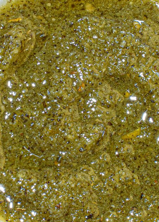 Produktbild KoRo Grünes Pesto mit Salbei (180 g)