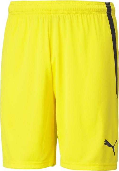 Produktbild Puma teamLIGA Shorts (XS)