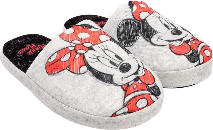 Actual product image Disney Slippers (40.5)