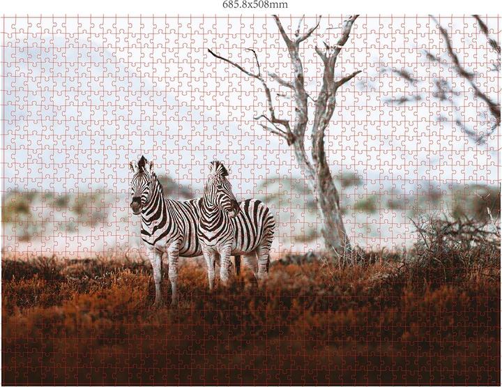 Produktbild Merchant Ambassador Wildtiere Afrika Donal Boyd (1000 Teile)