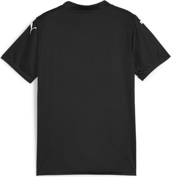 Actual product image Puma teamGLORY Jersey Jr (128)