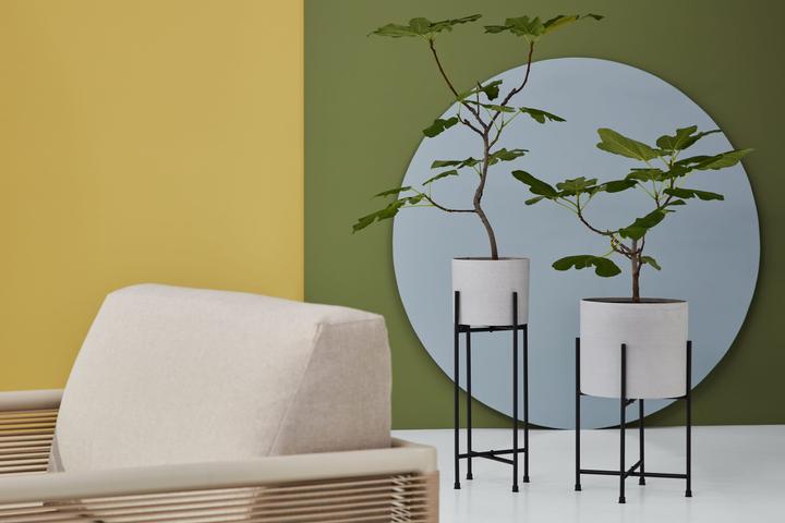 Produktbild micasa Minea (24 cm)