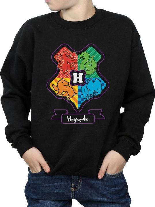 Produktbild Hogwarts Junior Crest Sweatshirt Jungen (140, 146)