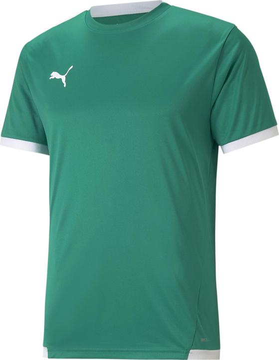 fir green, White
