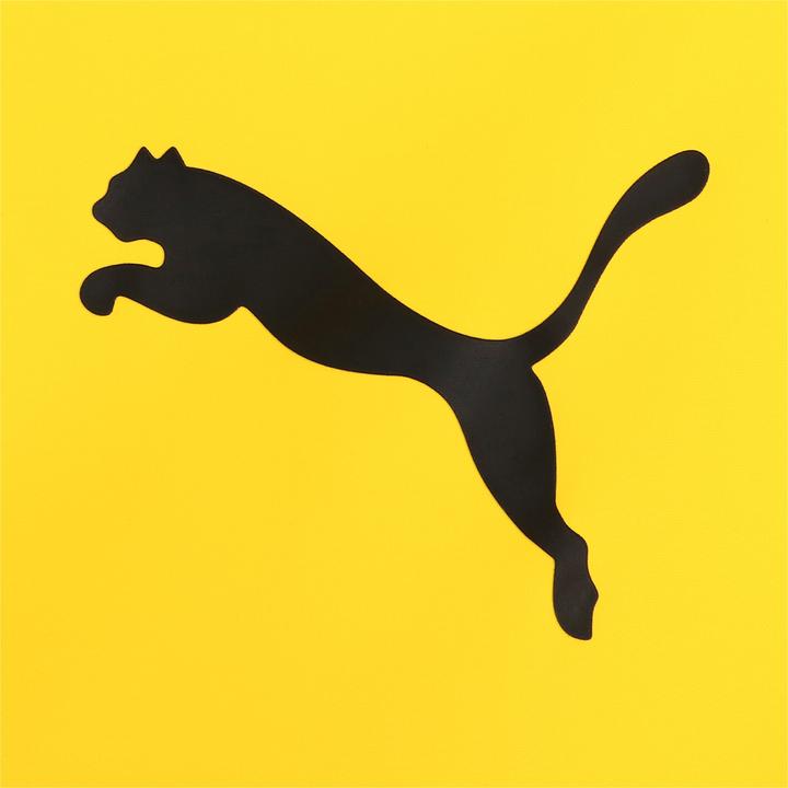 Actual product image Puma BVB Training All Weather Jacket (3XL)