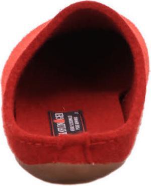 Produktbild Haflinger Fundus / Everest (46)