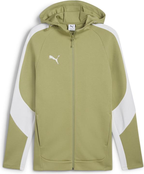 Puma teamEVOSTRIPE Hooded Jacket