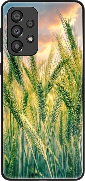 Cornfield