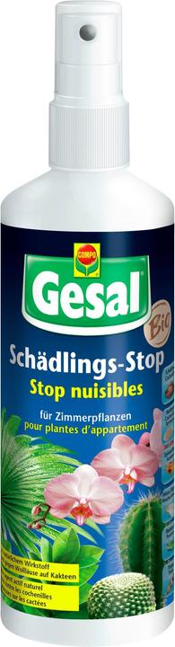 Actual product image Gesal Pest stop for indoor plants (Aphids)