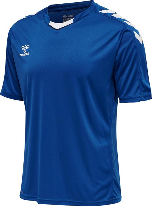 Trueblue