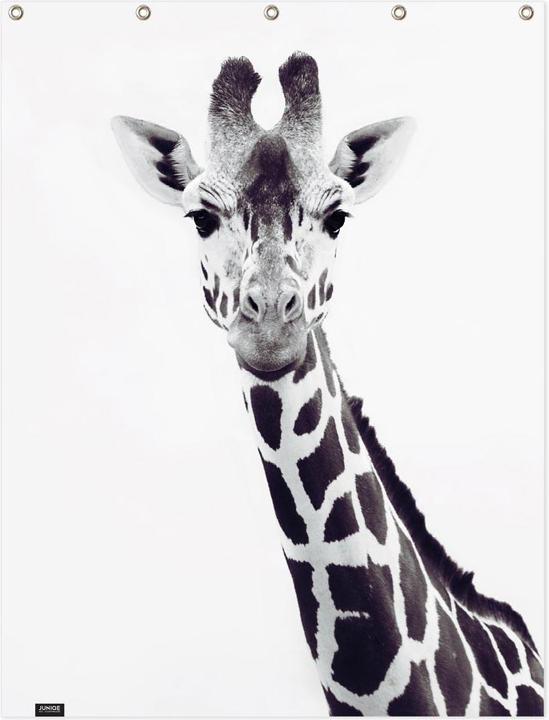 Produktbild Juniqe Giraffe - Giraffen (150 x 200 cm)