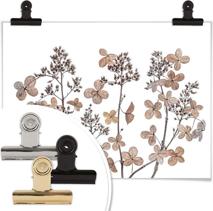 Image du produit Trenddeko Fleurs séchées (50 x 40 cm)