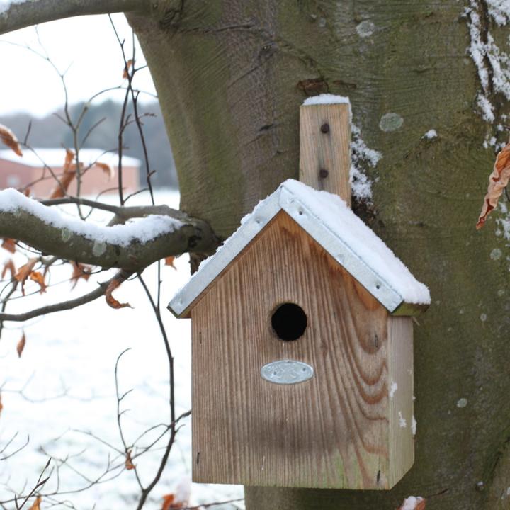 Actual product image Esschert Design Nest Box for Blue Tit