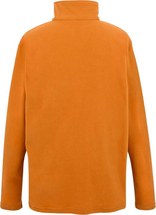 Actual product image Regatta Great Outdoors Mens Thompson Half Zip Fleece Top (3XL)