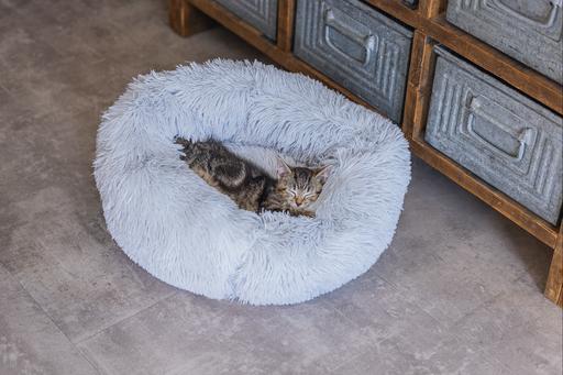 Immagine prodotto Beeztees Vuoto (Gatto)