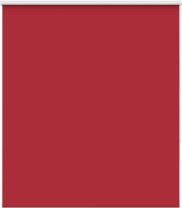 Rot