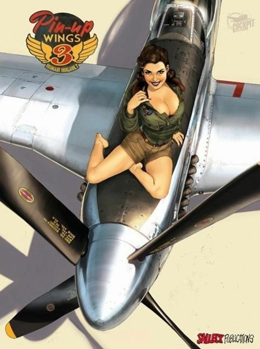Produktbild Pin-up Wings 3 (Deutsch, Romain Hugault Hugault, 2014)