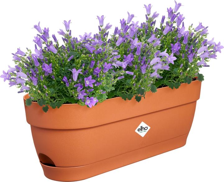 Produktbild Elho Balkonkasten Vibia Campana 49x18.2x17 cm (18.20 cm)