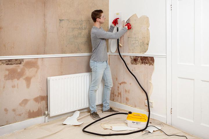 Actual product image Wagner SteamForce Steam Wallpaper Remover CH version (2000 W)