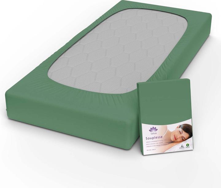 Actual product image Lotus Bettwaren Jersey fitted sheet Souplesse (140 x 200 cm, 160 x 200 cm)
