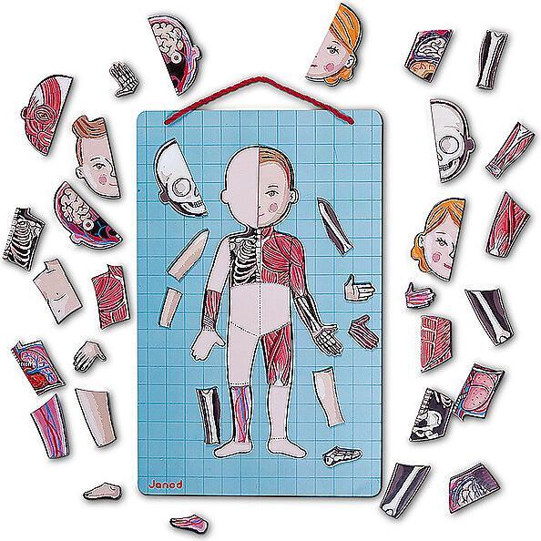 Actual product image Janod Magnetic body (German, English, French, Italian, Spanish)