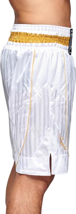 Actual product image Leone Premium boxing trousers AB240 (L)