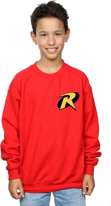 Actual product image Boys Batman Robin Logo Sweatshirt (152, 158)